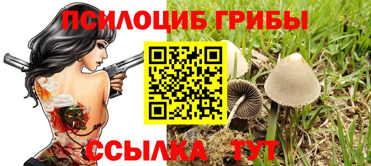 Псилоцибиновые грибы Magic Shrooms Кольчугино